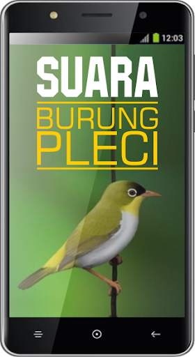 Suara Burung Pleci screenshot 1