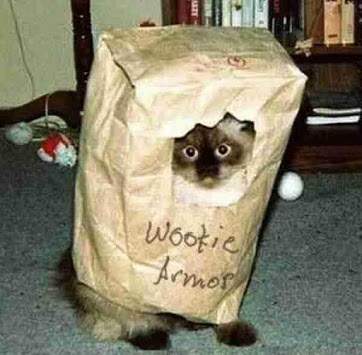 Funny Cats in Costume screenshot 8
