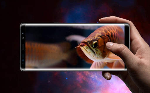 New Arowana 3D Live Wallpaper screenshot 6