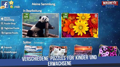 Magnetic Jigsaw screenshot 4