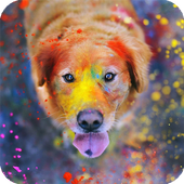 Golden Retriever Pack 2 LWP icon