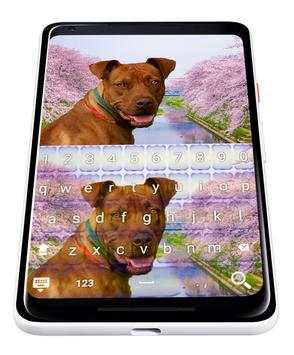 American pitbull Sakura keyboard theme screenshot 5