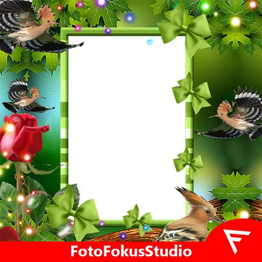 Hoopoe Insta DP 6.0