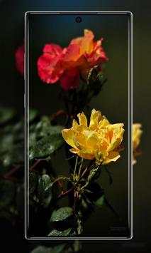Rose Flower 3D Wallpaper 7 تصوير الشاشة