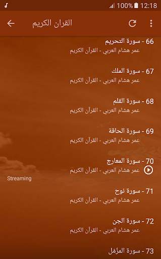 Omar Hisham Al Arabi Quran screenshot 5