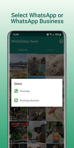 WhatsStatus Saver - Status Saver screenshot 2