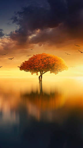 Autumn wallpaper screenshot 1