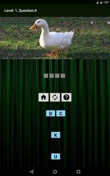 Animals & Birds Quiz screenshot 10