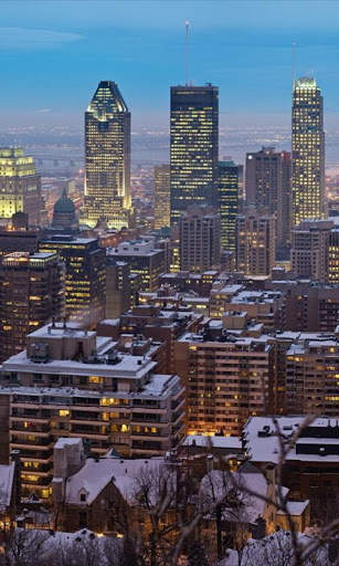 City Night Live Wallpaper screenshot 7