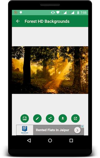Forest HD Backgrounds screenshot 3