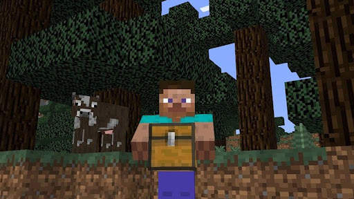 Carry On Minecraft Mod screenshot 1
