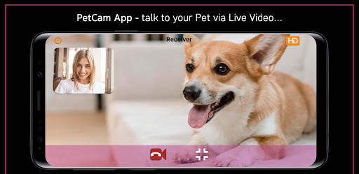 PetCam App - Dog Camera App screenshot 5