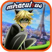 Cat Noir Car Miraculous Racing 1.0