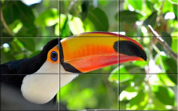 Puzzle - Birds स्क्रीनशॉट 5
