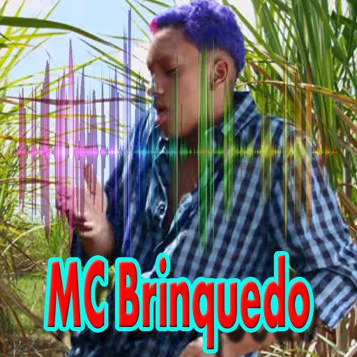 Best Of MC.Brinquedo: Music Without internet 6.1