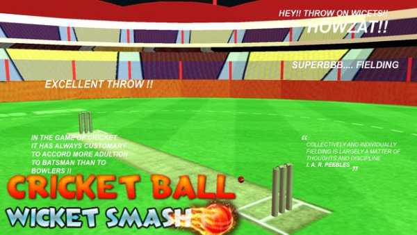 cricket bowling 3d 2017 screenshot 4