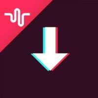 Video Downloader for Tik Tok - no watermark on 9Apps