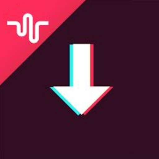 Video Downloader for Tik Tok - no watermark 1.0