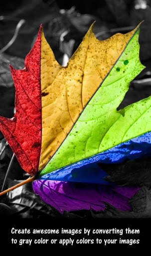 Color Splash Effects 3 تصوير الشاشة