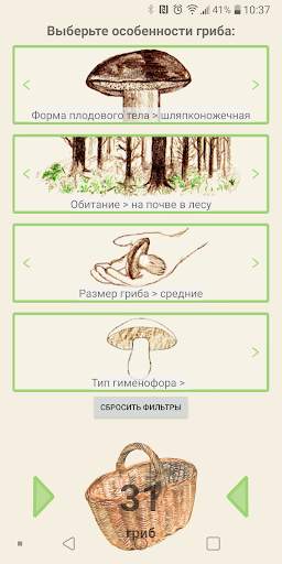 По грибы скриншот 4