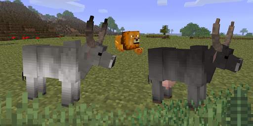 Animals Mod for Minecraft screenshot 2
