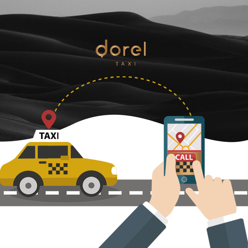 Dorel Driver icon