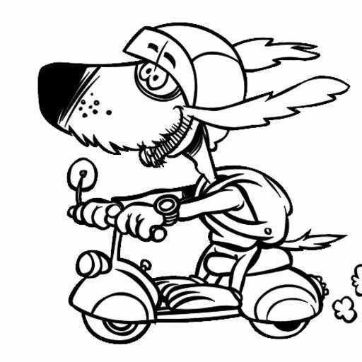 Cachorros Lokos Moto Entrega 11.3.1