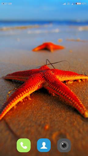 Starfish Wallpaper 4K screenshot 3