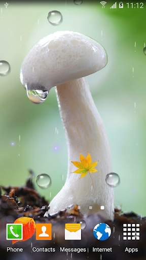 Mushrooms Live Wallpaper screenshot 2