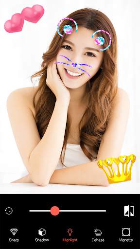 Cat Face & Heart Crown Stickers Best One Camera screenshot 6