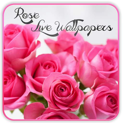 Rose Live Wallpaper 1.5