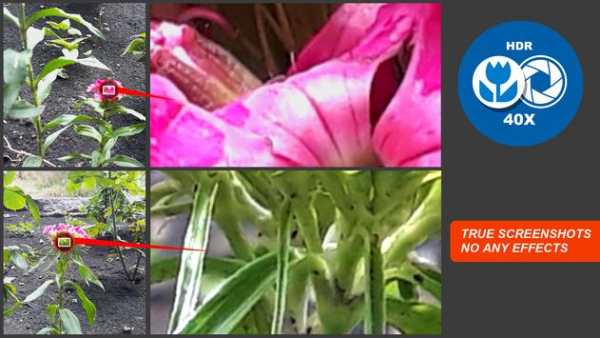 Macro  Photography  Camera.  Live  40x  Zoom 2 تصوير الشاشة