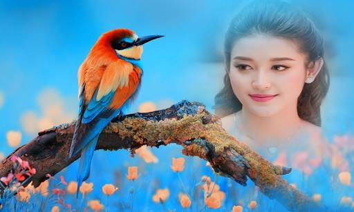 Birds Photo Frame New screenshot 2