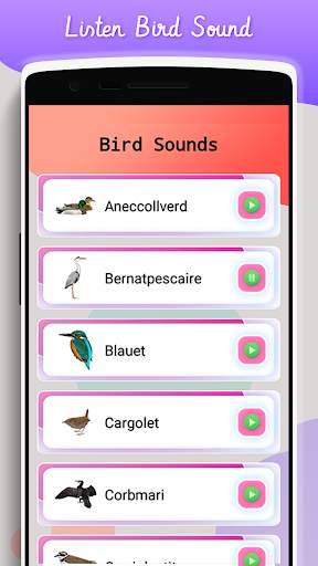 Bird sound and puzzle screenshot 5