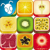 Fruit Memory Game for Kids icon