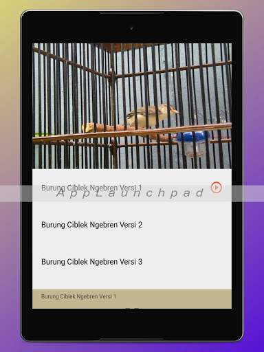 Kicau Burung Terlengkap screenshot 24