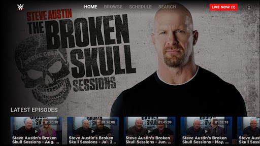 WWE screenshot 1