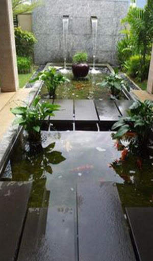 Ide Kreasi Kolam Ikan Hias screenshot 2
