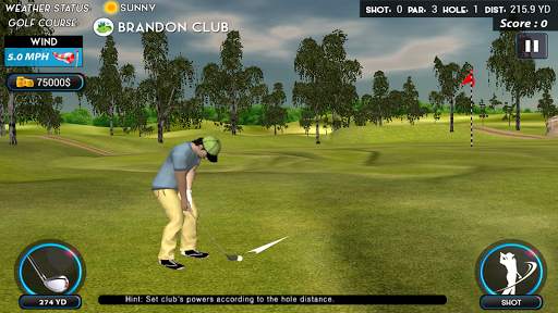 Top Real Star Golf Master 3D screenshot 3