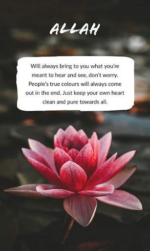 Islamic Quotes And DP screenshot 4