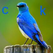 oh birds आइकन