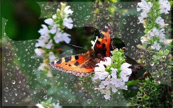 Dragonflies and Butterflies live wallpaper screenshot 7