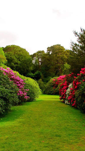 Nature Parks Wallpapers screenshot 3