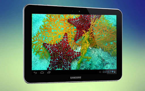 Starfish 3D Free Live Wallpaper screenshot 7