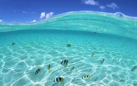 Sea Wallpapers screenshot 6