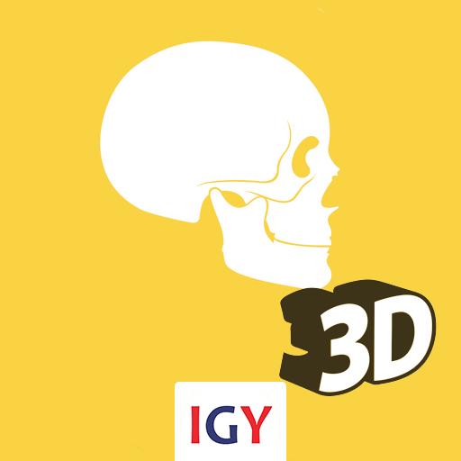 Anatomy 3D आइकन