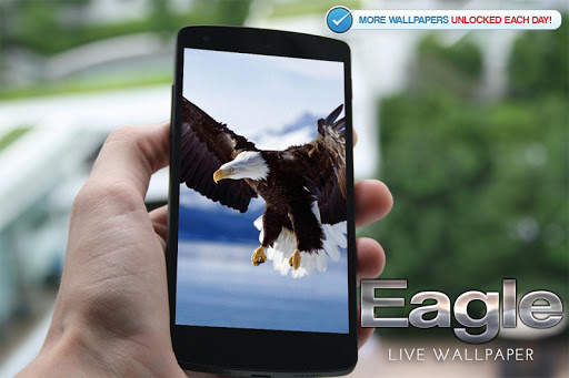 Eagle Live Wallpaper screenshot 7