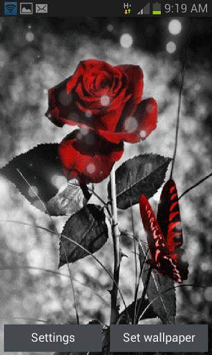 Red Black Butterfly LWP screenshot 1