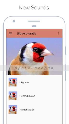 Goldfinch free screenshot 1