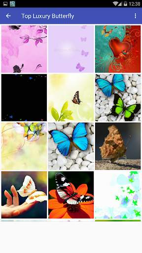 High Quality Butterfly Wallpaper screenshot 4